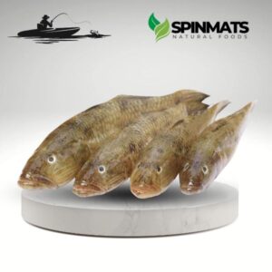 Image refers to Baillah Fish