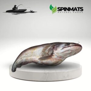 Image refers to Boal fish