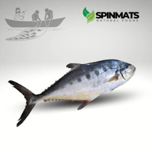 Image refers to Chapa Surma