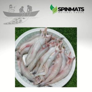 Image refers to Loitta Fish