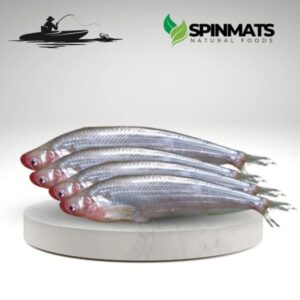 Image refers to Pabda fish